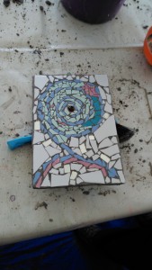 IMG_20170210_113245