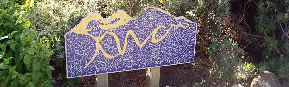 Welcome to the Kapiti Women's Centre